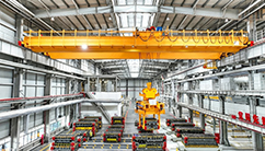 Automated Mold Handling Crane